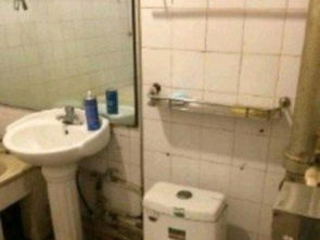 長治路電建二公司宿舍 緊鄰北美、48中的優(yōu)質(zhì)租房選擇