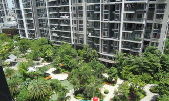 深圳海月五期公寓 辦公兩用空房，現(xiàn)代租賃新選擇