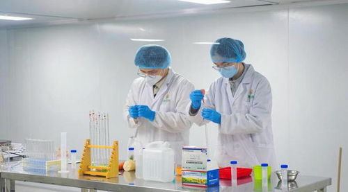 福鼎市福供云廚項目竣工，2023年電子商務“開門穩”啟動儀式圓滿成功